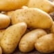 Patates Alerjisi