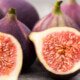 İncir alerjisi