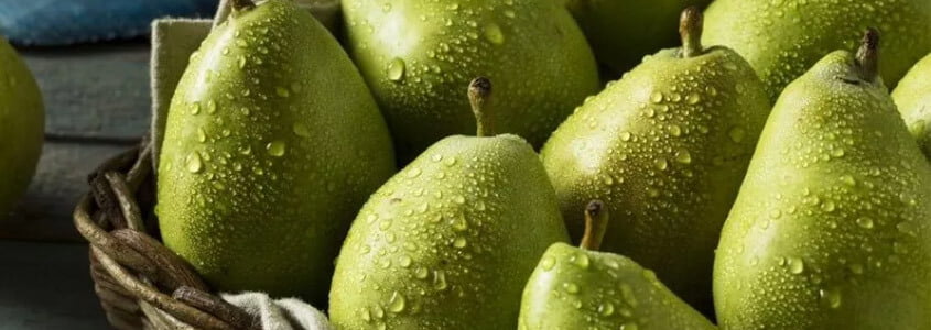 armut alerjisi