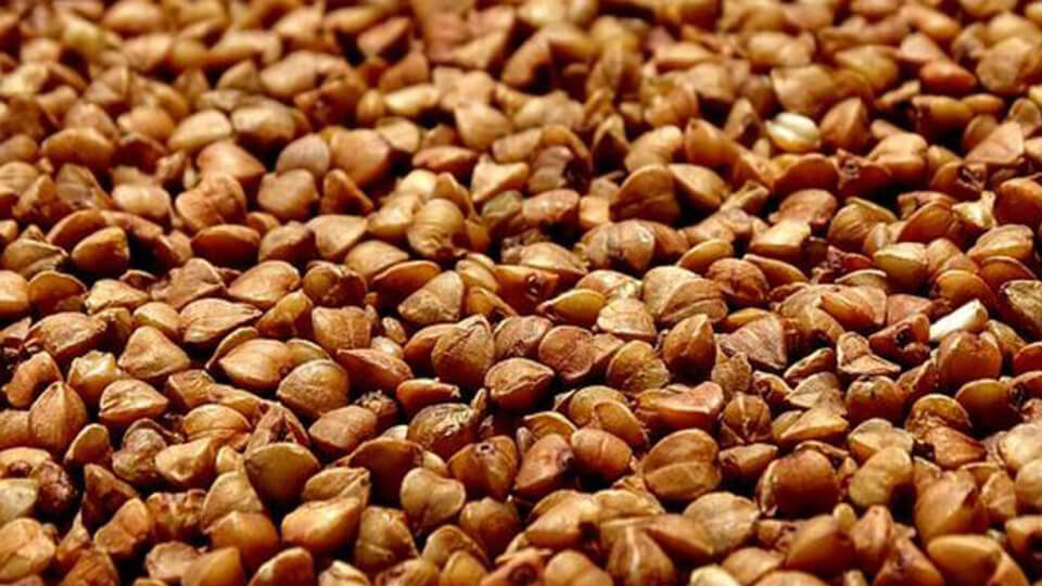 Karabuğday
