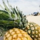Ananas Alerjisi